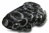 Carved Black Coquina Stone Frog - California #309119-1